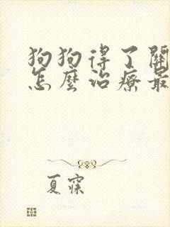 狗狗得了关节炎怎么治疗最好