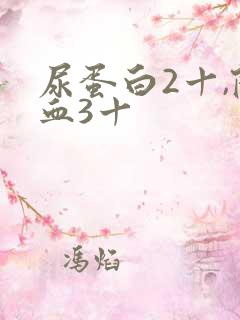 尿蛋白2十,隐血3十