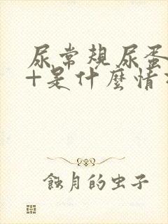 尿常规尿蛋白1+是什么情况