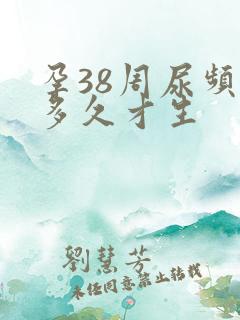 孕38周尿频要多久才生