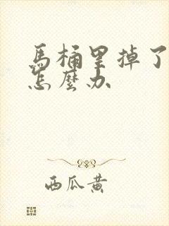 马桶里掉了东西怎么办