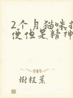 2个月猫咪拉软便但是精神好