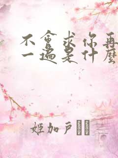 不会求你再爱我一遍是什么歌