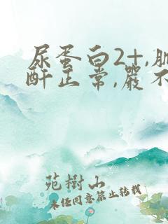 尿蛋白2+,肌酐正常,严不严重