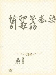 输卵管感染原因引起的