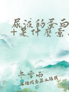 尿液的蛋白质1+是什么意思,严重吗