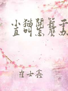 小猫关笼子里一直叫怎么办