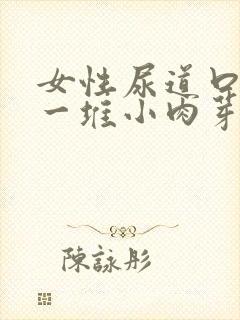 女性尿道口长了一堆小肉芽