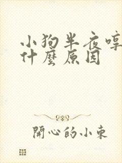 小狗半夜哼唧是什么原因