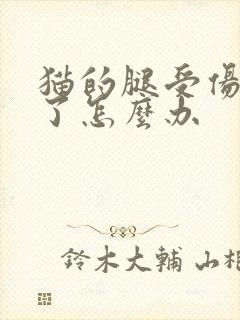 猫的腿受伤流脓了怎么办