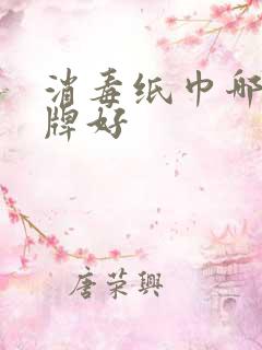 消毒纸巾哪个品牌好