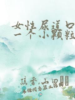 女性尿道口长了一个小颗粒