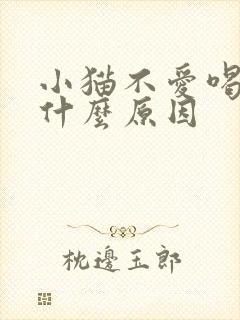 小猫不爱喝水是什么原因