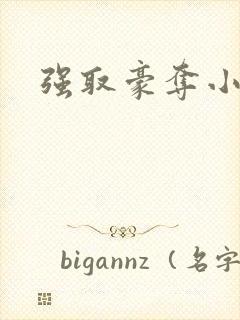 强取豪夺小说