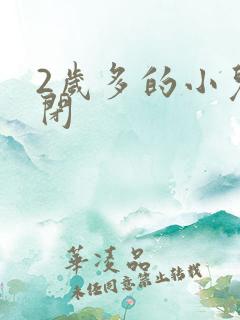 2岁多的小儿自闭