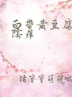 白带黄豆腐渣外阴痒