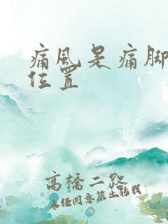 痛风是痛脚那个位置