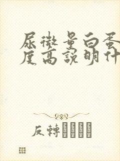 尿微量白蛋白浓度高说明什么问题