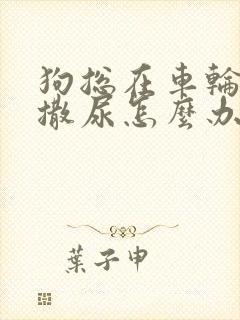 狗总在车轮胎是撒尿怎么办