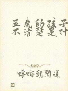 五岁的孩子话说不清楚是什么原因