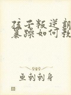 孩子叛逆期脾气暴躁如何教育