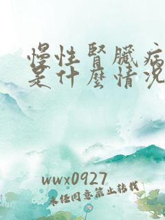 慢性肾脏病4期是什么情况