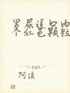 男尿道口内侧了个红色颗粒