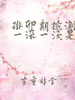 排卵期检测试纸一深一浅是怀孕吗