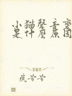 小猫声音变沙哑是什么原因