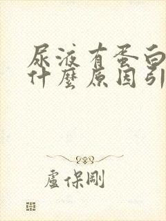 尿液有蛋白质是什么原因引起的