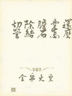 切除胆囊还有胆管结石怎么办