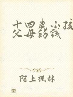 十四岁小孩偷拿父母的钱