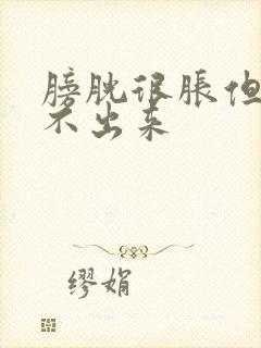 膀胱很胀但是尿不出来