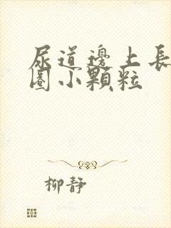 尿道边上长了一圈小颗粒