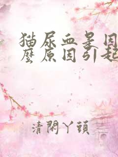 猫尿血是因为什么原因引起