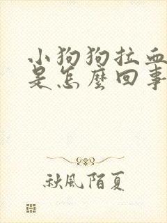 小狗狗拉血呕吐是怎么回事