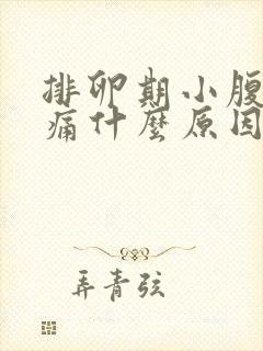 排卵期小腹部疼痛什么原因