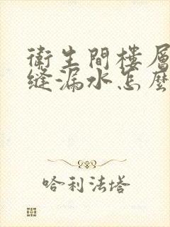 卫生间楼层有裂缝漏水怎么修补