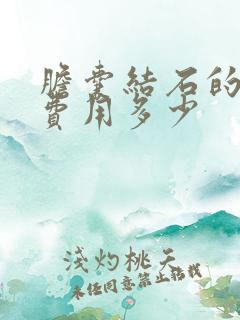 胆囊结石的治疗费用多少