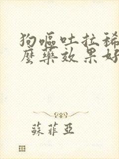 狗呕吐拉稀用什么药效果好