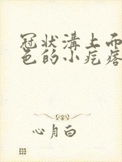 冠状沟上面有白色的小疙瘩