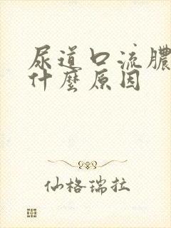 尿道口流脓疼痛什么原因