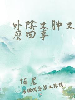 外阴又肿又疼怎么回事