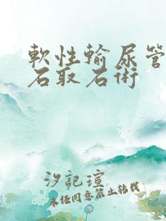 软性输尿管镜碎石取石术