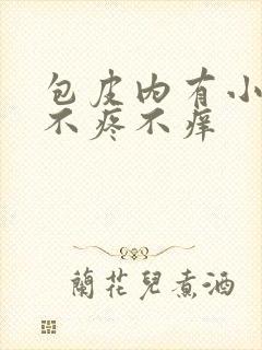 包皮内有小疙瘩不疼不痒