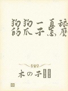 狗狗一直舔自己的爪子怎么回事