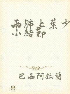 两肺上叶少许微小结节