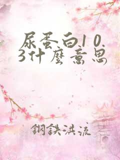 尿蛋白1 0.3什么意思