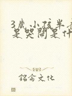 3岁小孩半夜总是哭闹是什么原因