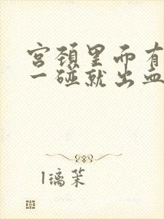 宫颈里面有东西一碰就出血